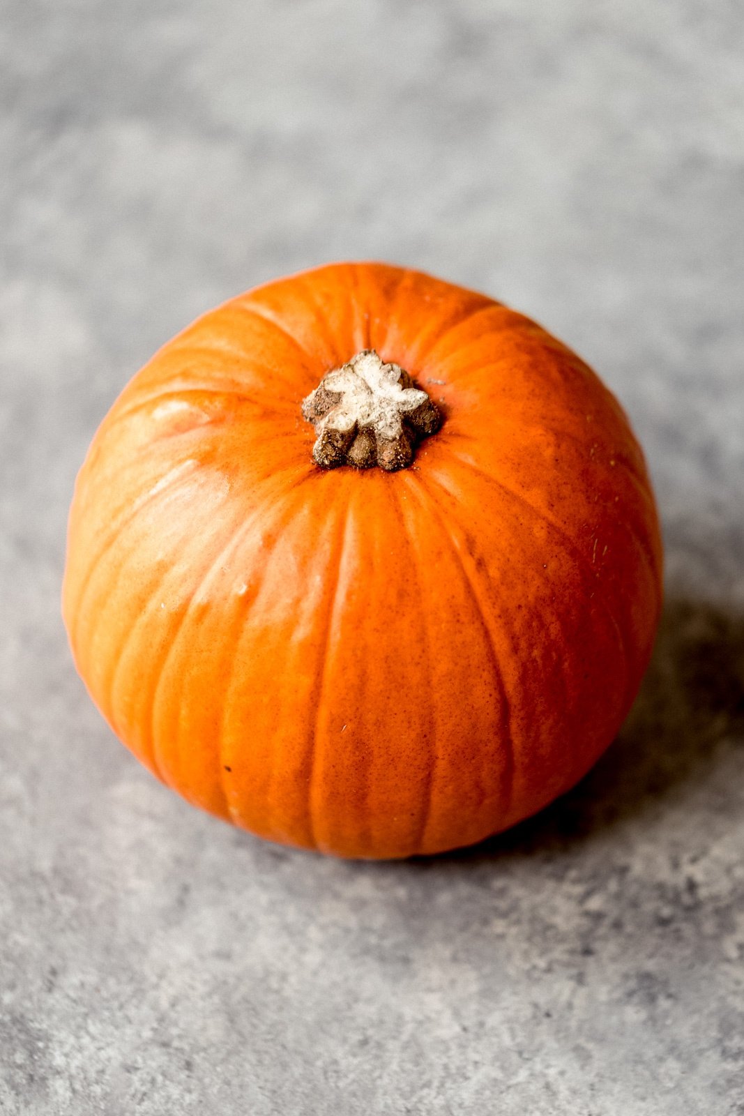 a pie pumpkin on a grey board